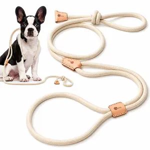 2-in-1 Slip Dog Lead Leash & Harness, 4FT Rope Training Leash for Small Dogs and Puppies**
