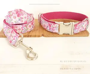 BlushWalk Collar & Leash Set
