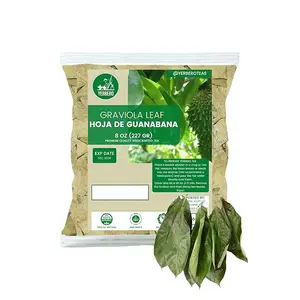 Yerbero Guanabana Soursop Leaves 1 lb (454 g) | Whole Dried Herbal Tea Leaves - 100% Natural, Vegan, Sun Dried Loose Leaf from Mexico