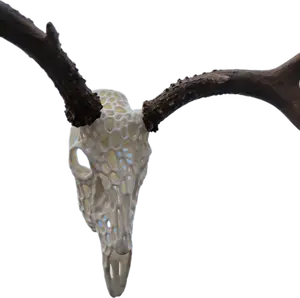 Webbed Deer Skull Mount Kit for Antler Display - Durable and Easy to Install