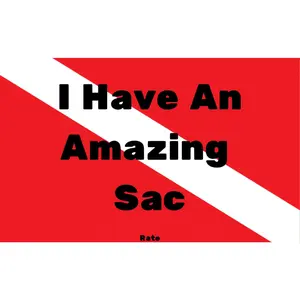 I have an amazing Sac sticker - Free shipping anywhere in the USA