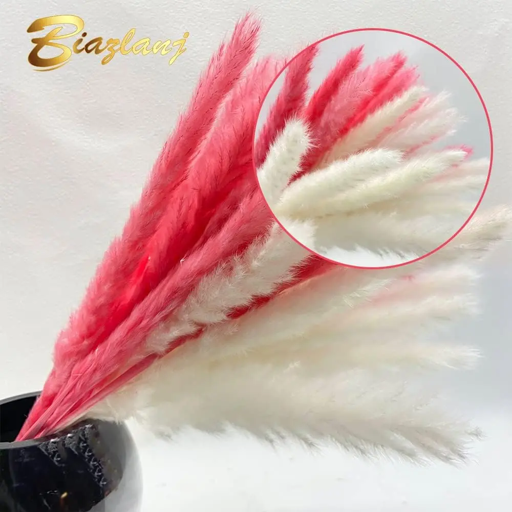 Pink Pampas Grass, 15 Pcs White Pampas, 15 Pcs Pink Pampas Grass, Flowers for Decoration, Beautiful Artificial Flowers for Christmas Decorations, White Pampas Grass.