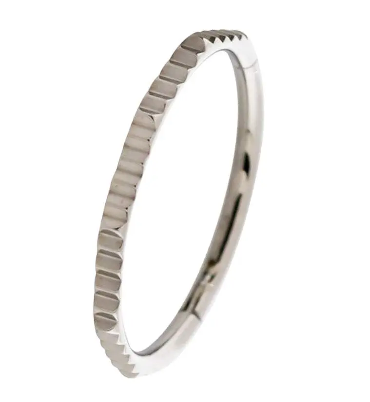 Ridge Titanium Hinged Segment Ring