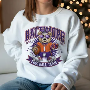 Baltimore Football Sweatshirt, Raven Football Sweatshirt, Baltimore Sweatshirt, Football Mascot Raven Sweatshirt, Game Day Gear, Hip Hop Bear Baltimore Tee