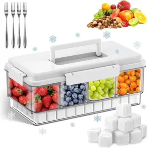 Snackle Box Container with Ice Pack, Travel Snack Container with Handle, Chilled Divided Serving Tray with Lid, 4 Compartment Snack Box for Fruits,Veggies,Snacks,Keep Food Cold