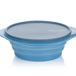 Flat Out bowl Dish