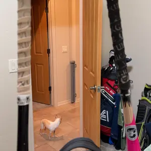 VukGripz Legacy Bat Grip Tape - Grippy (Not Sticky) for Sweat, Rain & Heat | USA Made