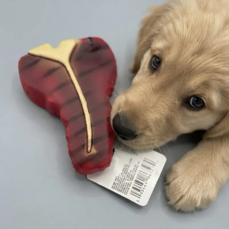 Kayde Dog toy