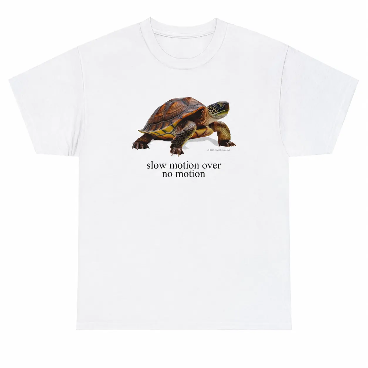 Minimalist Turtle Graphic T-Shirt | “Slow Motion Over No Motion” Aesthetic Tee