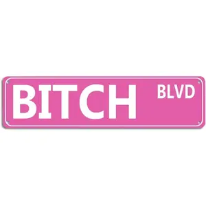 Vintage Metal Nameplate Sign Bitch Blvd, 16x4 Inch Wall Art Decor for Home Bar Dorm Room, Unique Gift Idea for Friends & Family
