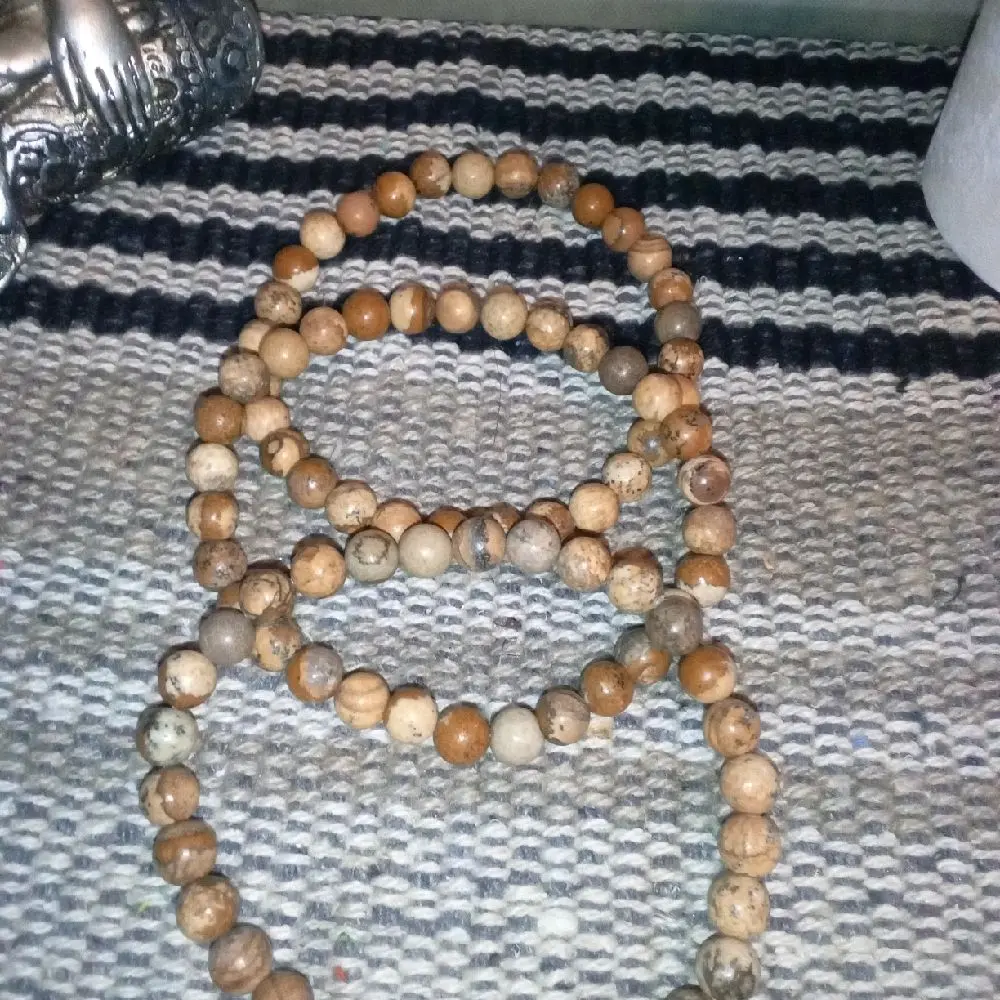 Picture Jasper Bracelet