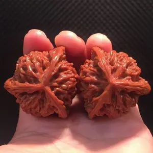 Peach Core Three-Sided Walnut No Splicing Lion Running Three-Path Stem Irregular Shape Toad Head Kirin Pattern Decor Ornaments