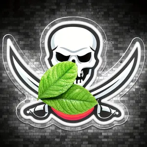 Pirate Football Neon Sign for Wall Decor Football Team Logo Neon Light Sports LED Decor Sports Neon Sign for Man Cave,Boy's Bedroom,Club,Party,Gifts for Men,Teen Boys,Fans,