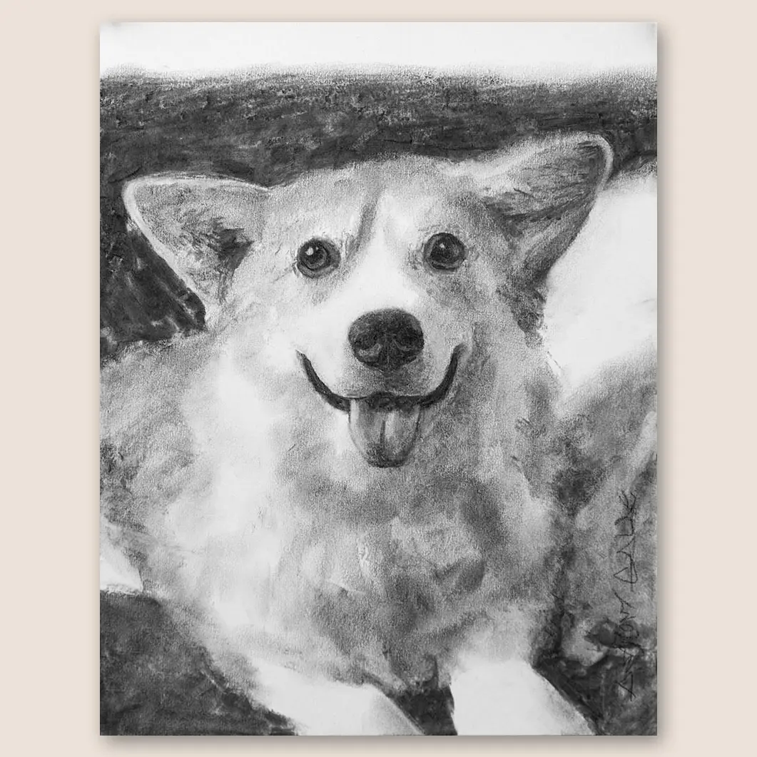 Corgi Original Charcoal Drawing 11"x14" Dog Portrait On Paper Loose Realistic Style Artwork