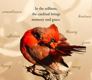 Skinny Tumblers - Memory and Grace stainless steel coffee water Grief cup Remembrance Memorial Gift Red Cardinal