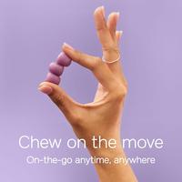 Magnesium Gummies – Wild Berry (60 servings)