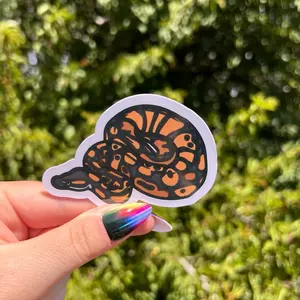 Ball Python Snake Reptile Waterproof UV-proof Sticker