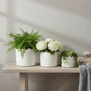 Set of 3 Scallop Wildflower Ceramic Pots - Large, Medium & Small Sizes for Indoor Plant Display - Durable & Elegant Decorative Pots with Floral Details