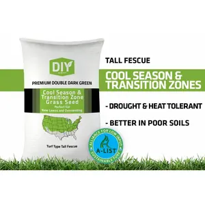 Premium Double Dark Green Turf Type Tall Fescue Grass Seed