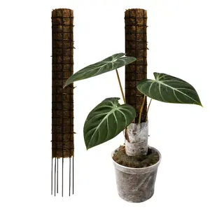 PropStake 14" | Staked Pole for Starter Plants, Jumpstart Vertical Growth