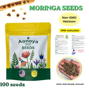 Moringa Seeds - Non-GMO, High Germination, Organic, Fast-Growing Superfood Tree - 100ct (Approx) - Ideal for Home Cultivation & Edible Uses