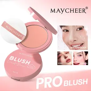 Matte Highlighter Blush Powder, Natural Makeup Effect, Long-Lasting, Fade-Resistant, Brightens Skin Tone, Perfect for Everyday Use