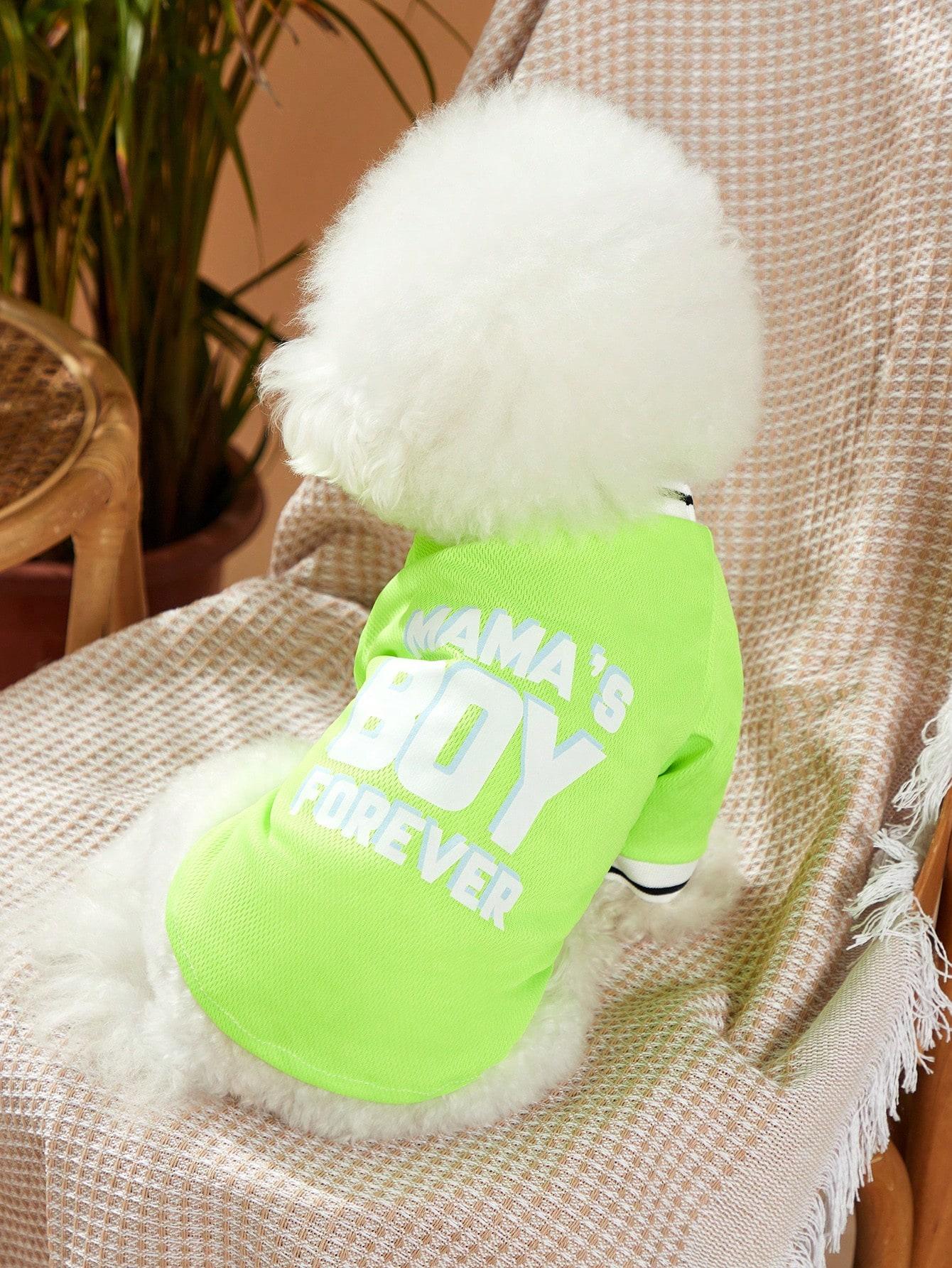 AESS x PETSIN Polyester Dog & Cat T-Shirt, Cute Print & Letter Stripe, Lightweight Breathable Multi-Size Spring Summer Pet Apparel