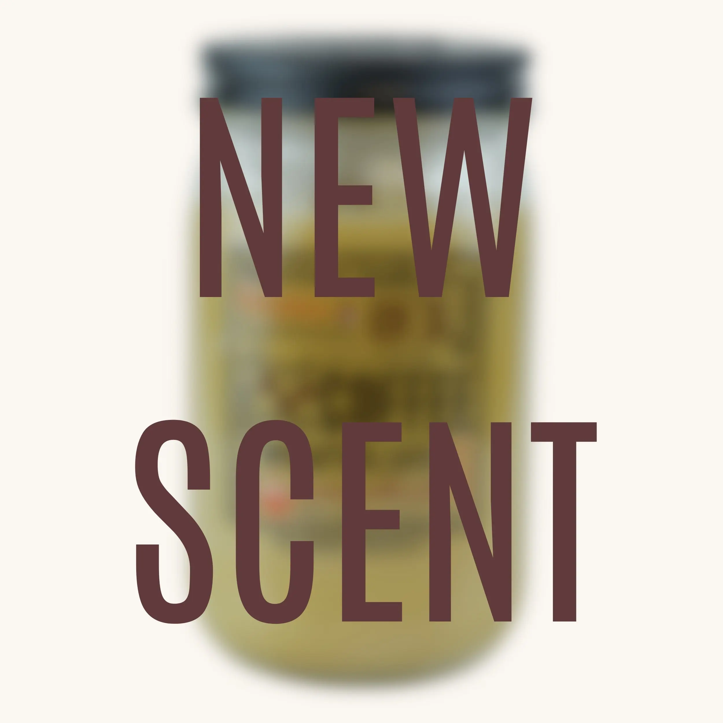 Sage & Shortbread Pantry Jar Soy Candle
