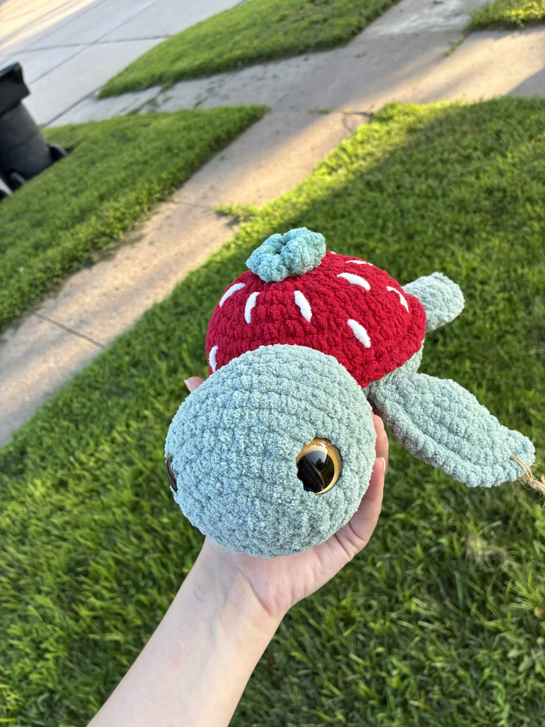 Strawberry Turtle