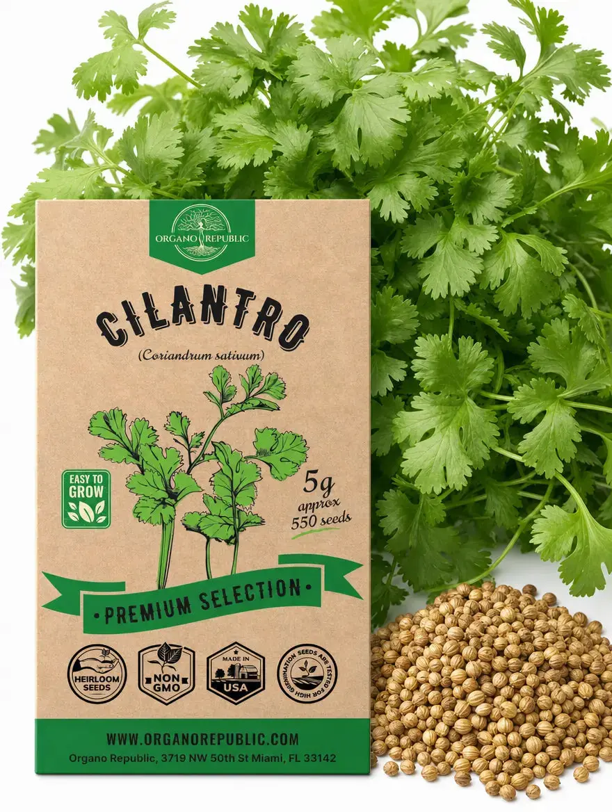 Cilantro Seeds