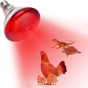 150 Watt Infrared Red Heat Lamp Bulb for Chickens Coop Brooder and Reptile
