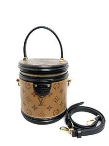 Pre-owned Louis Vuitton Monogram Canvas Vanity Case with Detachable Strap and Gold Hardware