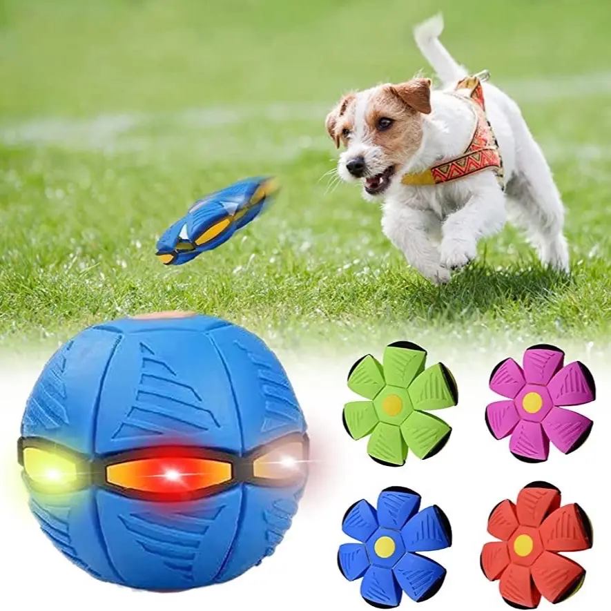 Dog Frisbee Dog Frisbee