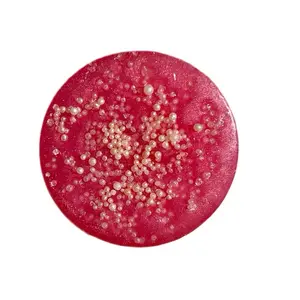 Collagen and Vitamin E Pearl Soap for Skin Care Collagen and Vitamin E Pearl Soap for Skin Care