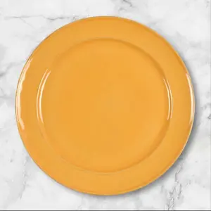 Pottery Barn Cambria Saffron Dinner Plate | Single Replacement | Portugal Stoneware