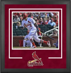 St. Louis Cardinals Deluxe 16" x 20" Horizontal Photograph Frame