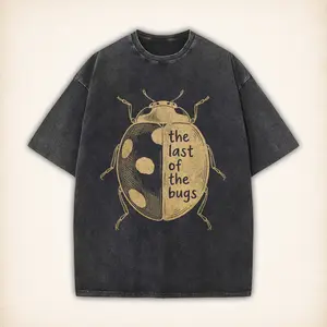 Noah Kahan Vintage Washed Tee, The Last Of The Bugs Shirt, Oversized Indie Graphic T Shirt