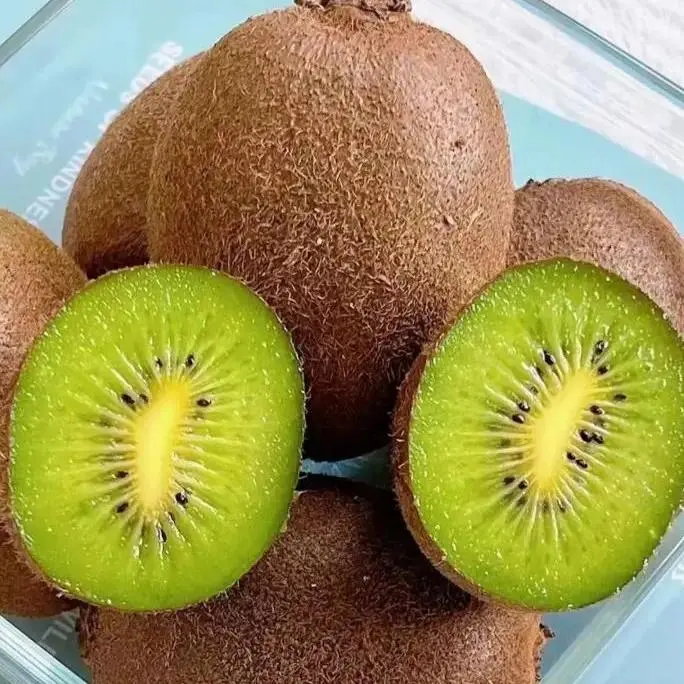 Organic Kiwi Seeds, Non-GMO, Fast-Growing, Beginner-Friendly & Low-Maintenance, Indoor & Outdoor Planting, Perfect for Spring, Easy to Grow Kiwi Seeds for Home Garden