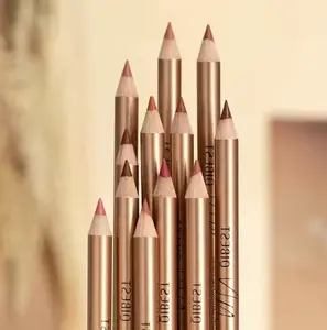 Long Lasting Lip Liner Set, 12pcs/set Matte Lip Liner, Easy Coloring Lip Liner Pen, Moisturizing Lip Liner,Suitable for All Occasions Lip Makeup