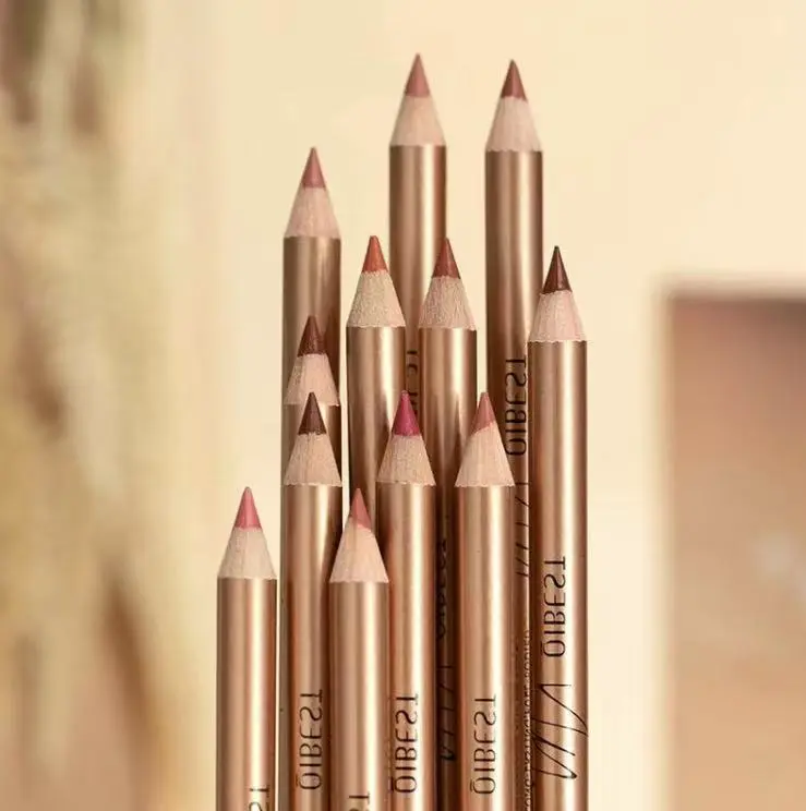 Long Lasting Lip Liner Set, 12pcs/set Matte Lip Liner, Easy Coloring Lip Liner Pen, Moisturizing Lip Liner,Suitable for All Occasions Lip Makeup