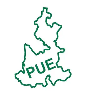 Mexican State Map Outline Puebla Vinyl Decal Sticker UV & Waterproof Bumper Window Laptop Automotive Water Bottle Gift accessories – GREEN 6"