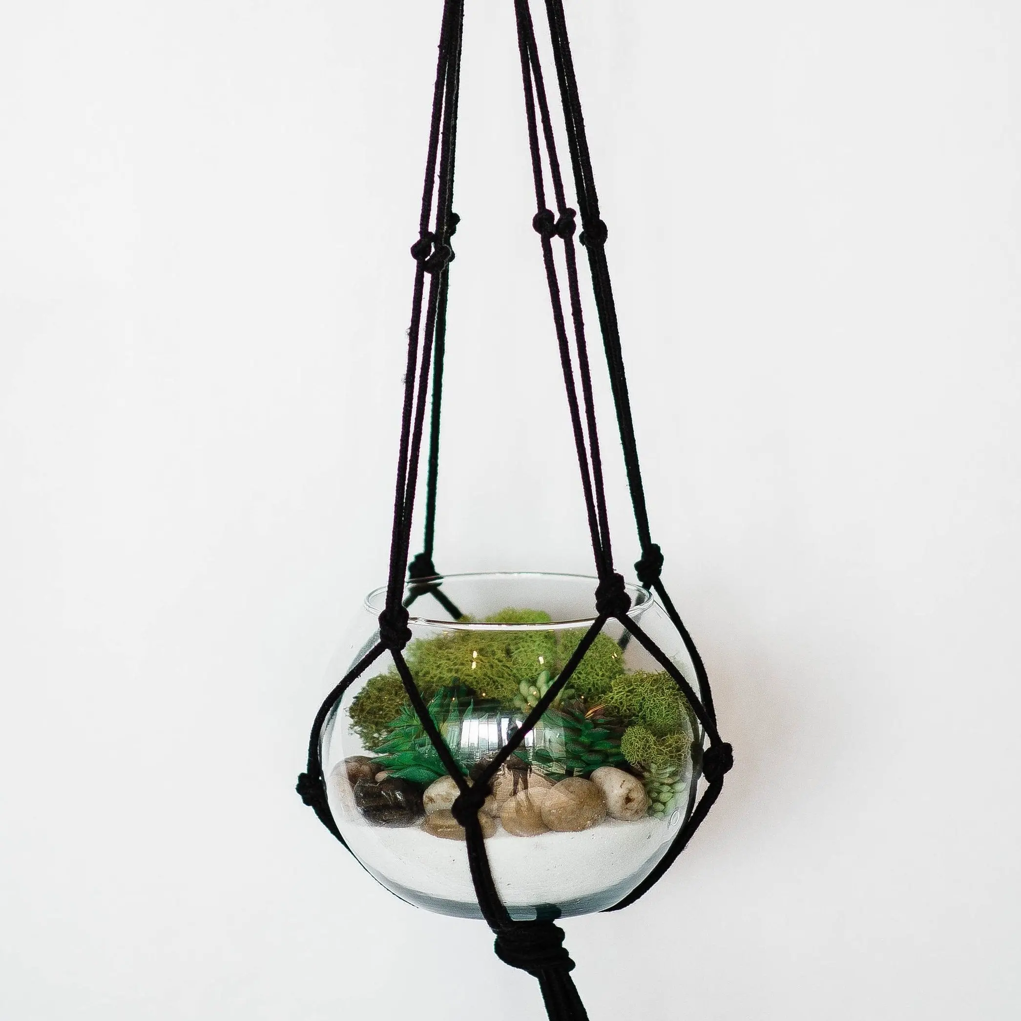Hanging Terrarium Kit Hanging Terrarium Kit