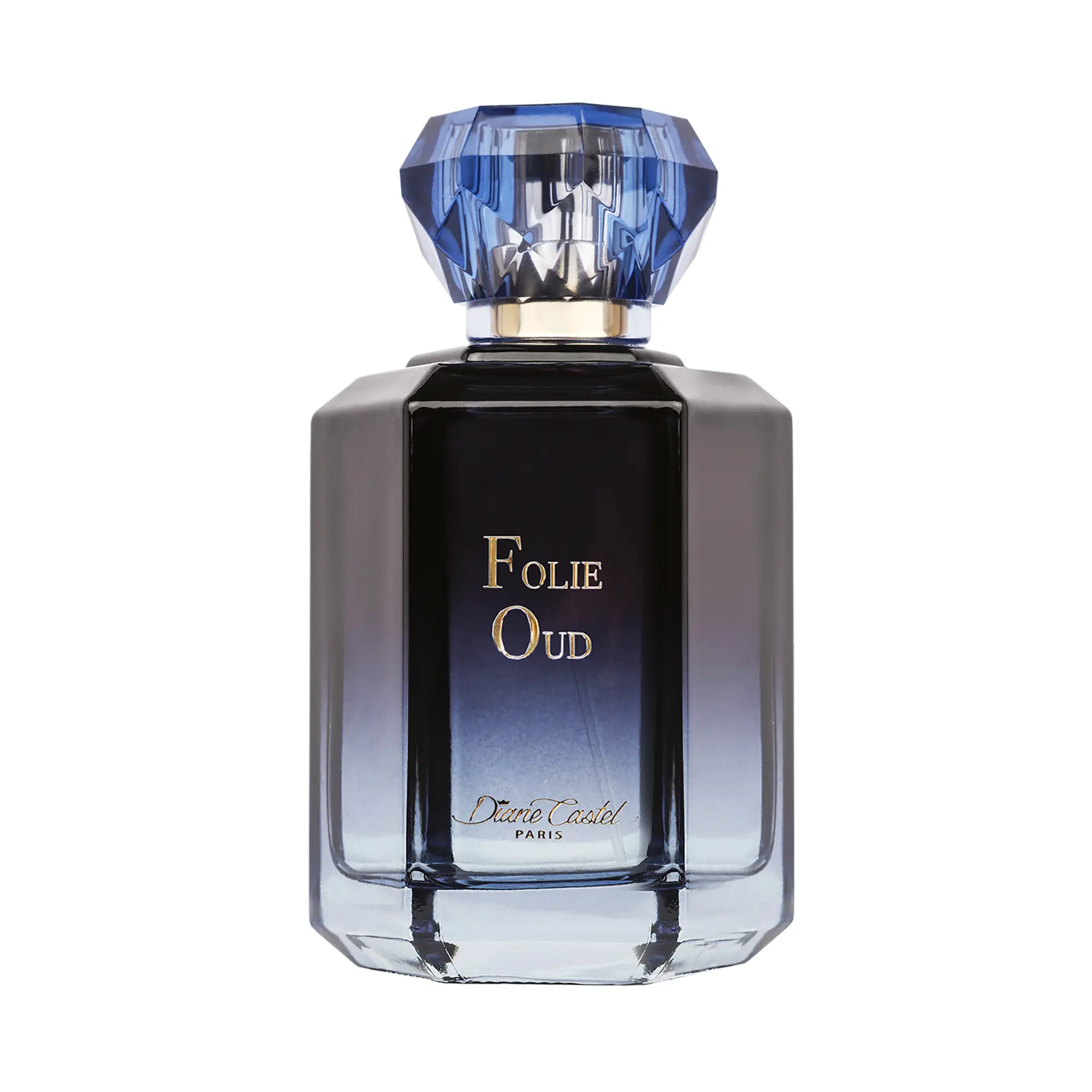Diane Castel Folie Oud - Floral Woody Amber Fragrance - Exotic Perfume for Women - Women's Fragrances with Jasmine, Rose, and Oud - 3.3 oz