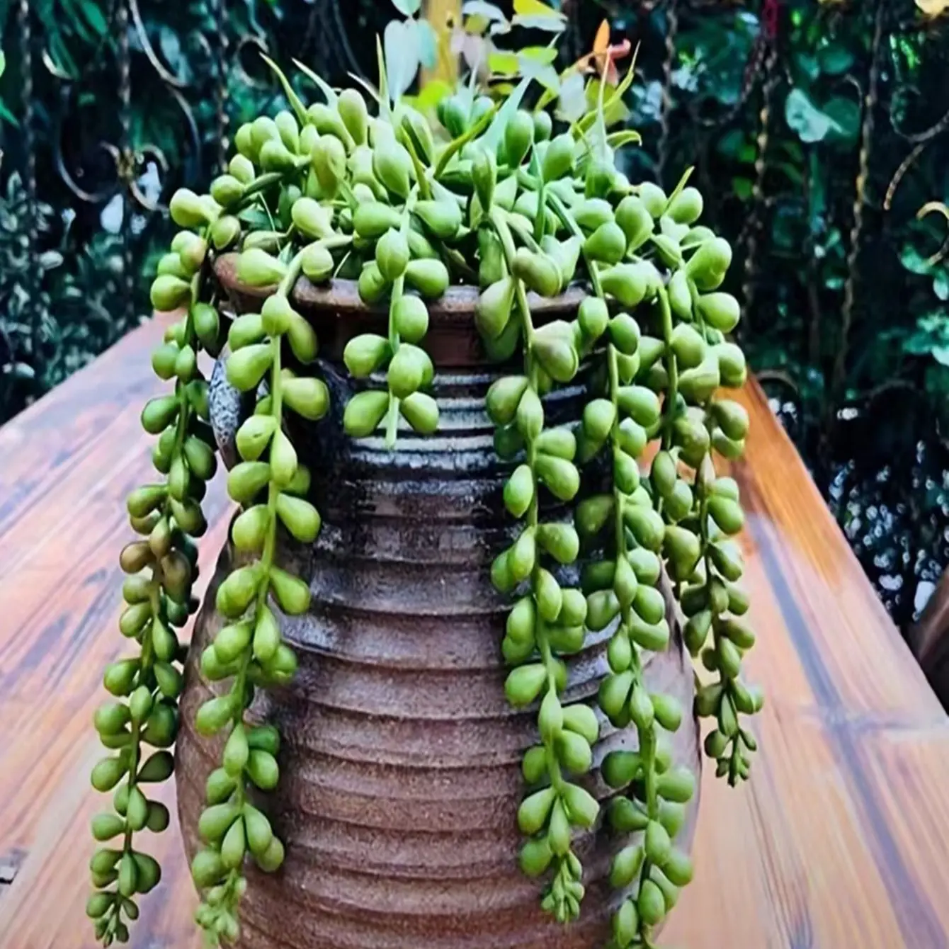 4 Piece Soft Gel Realistic Plant Beads, Artificial Flower Wall Hanging Decor, Wedding Ceiling Background Decoration Buddha Beads, Lifelike Fake Plant