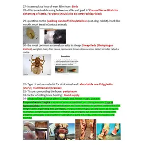 BCSE Comprehensive Notes with Past Questions and Answers - Complete BCSE Study Guide - BCSE Notes for Bcse Prep