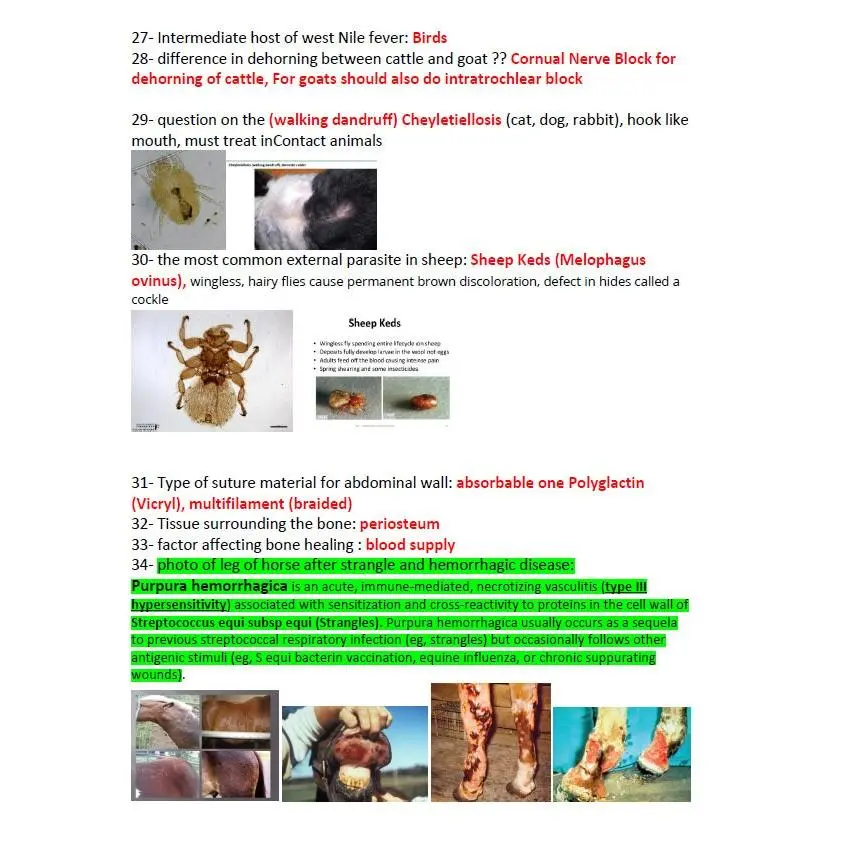 BCSE Comprehensive Notes with Past Questions and Answers - Complete BCSE Study Guide - BCSE Notes for Bcse Prep
