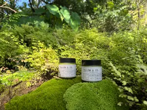 Bundle Pack - 2X Unscented