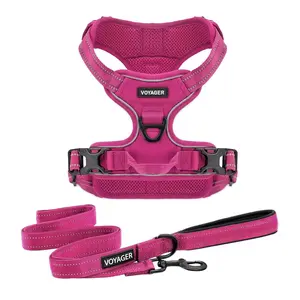 Dual-Attachment Harness & Leash Set