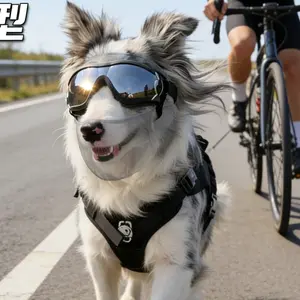 Border collie's Golden Hair Samoye Labrador Pet Glasses, Guard Dog's Eyes border collie's Golden Hair Labrador Sandbreak Goggles Outdoor Photography Cool