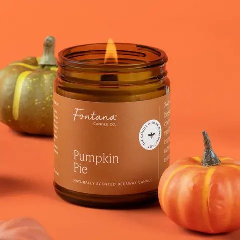 Fontana Candle Co Classic Jar Candles Fall Collection - Pumpkin Pie Jar, Cozy Cabin, It's Fall Y'all, - 40 Hour Burn Time - MADE SAFE Certified